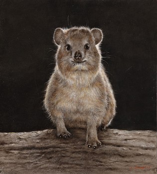 Claude Jammet, Best Foot Forward, 2022, oil on paper on canvas, 50 x 45cm