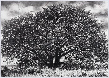 Murhi wa vutivi II (the tree of knowledge II), 75 x 105cm