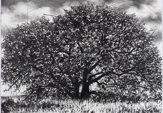 Murhi wa vutivi II (the tree of knowledge II), 75 x 105cm