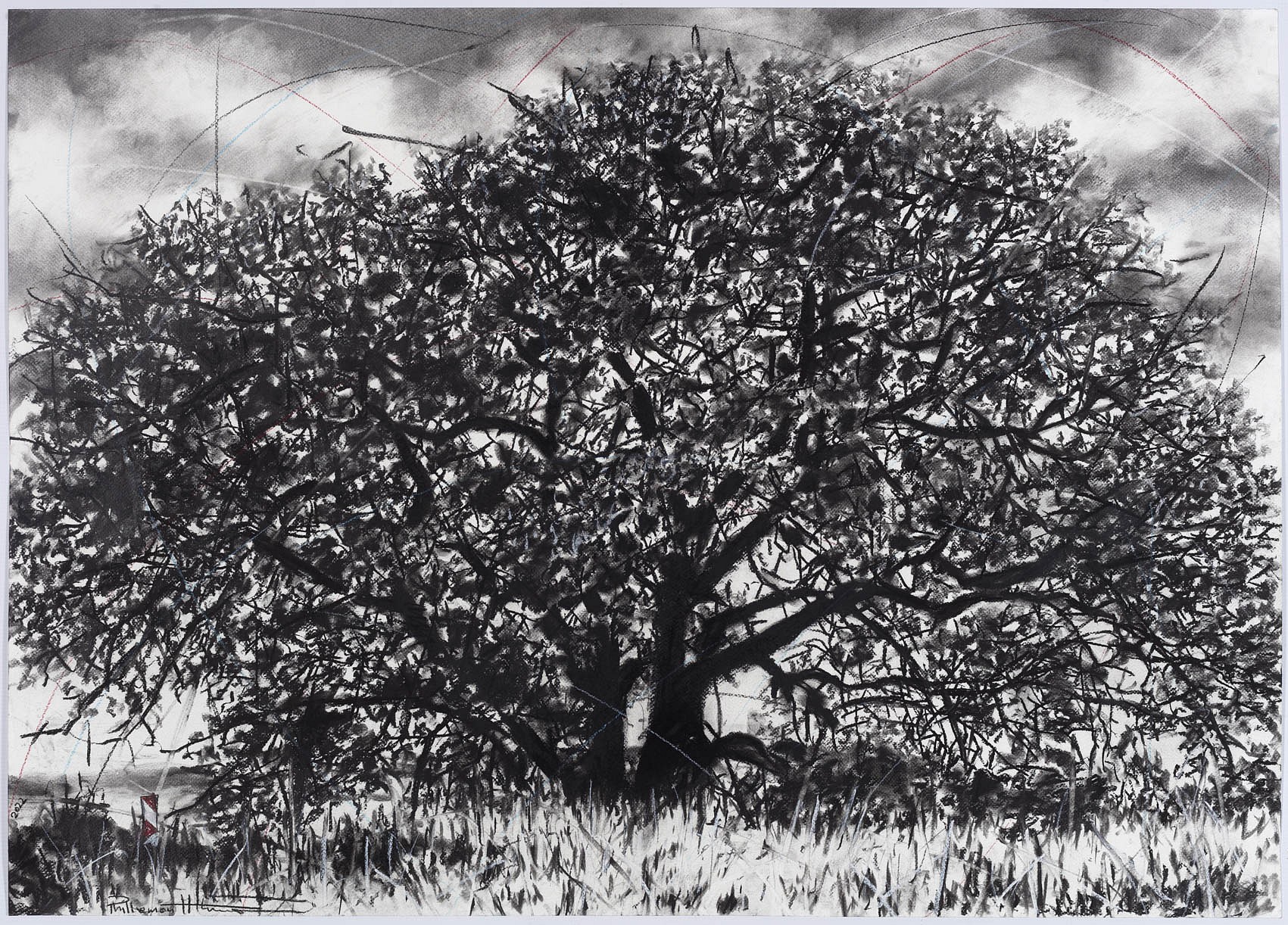 Murhi wa vutivi II (the tree of knowledge II), 75 x 105cm