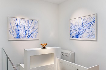 SUMMER 2023 Everard Read London Damian Griffiths LR (17)