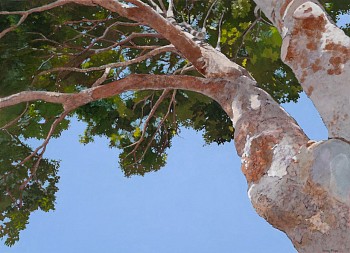 denby meyer good weather 80 x 110 cm erg lon 2024 michael hall 3 Copy