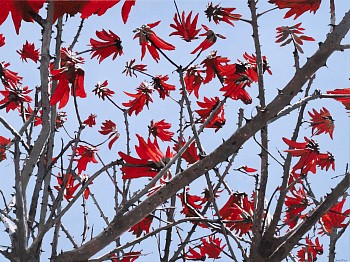 denby meyer thorned 90 x 120cm erg lon 2024 michael hall 1