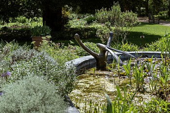ERG London, Guy du Toit at Chelsea Physic Gardens Credit Damian Griffiths LR (24)