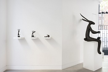 Guy du Toit ERL (c) Damian Griffiths (8) HR