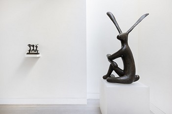 Guy du Toit ERL (c) Damian Griffiths (17) HR