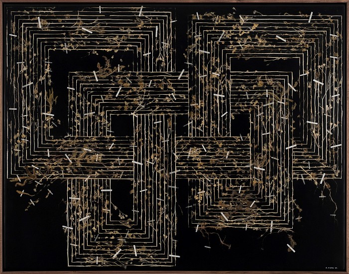 GERHARD MARX, Dwelling Drawing I
plant material and acrylic ground on canvas and board