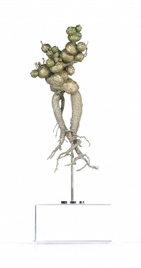 NIC BLADEN, Euphorbia globosa<br />
Bronze on crystal base