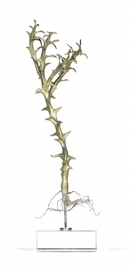 NIC BLADEN, Euphorbia hamata<br />
Bronze on crystal base