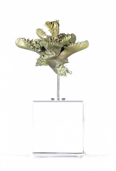 NIC BLADEN, Faucaria tigrina<br />
Bronze on crystal base