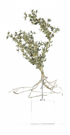 NIC BLADEN, Ruschia intricata (i)<br />
Bronze on crystal base