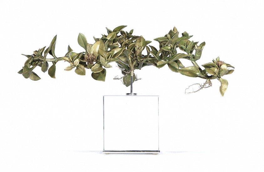 NIC BLADEN, Aptenia cordifolia<br />
Bronze on crystal base