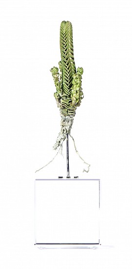 NIC BLADEN, Crassula pyramidalis<br />
Bronze on crystal base