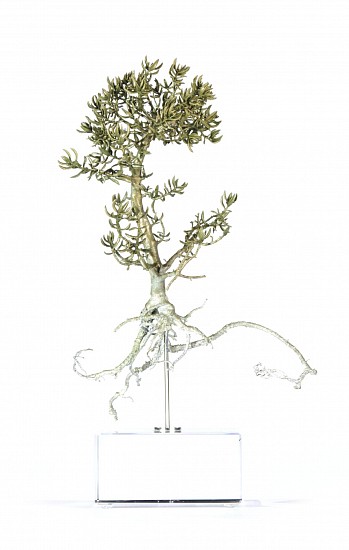 NIC BLADEN, Crassula tetragona<br />
Bronze on crystal base