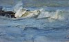 walter voigt robberg wave study oil on canvas 65 x 105 cm c matt slater hr 3