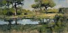 walter voigt timbavati watering hole oil on canvas 70 x 140 cm c matt slater hr 3