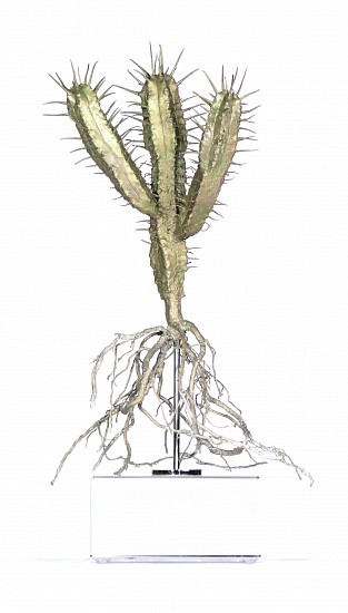 NIC BLADEN, Euphorbia sp. (ii)
Bronze on crystal base