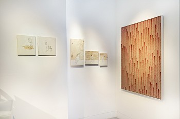 Winter 2024 (c) Damian Griffiths HR (7)