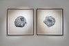 Jane Eppel, Sanctum and Wherever I'm with You, Copperplate etching (hardground), 67.5 x 67.5 each (c) Damian Griffiths LR