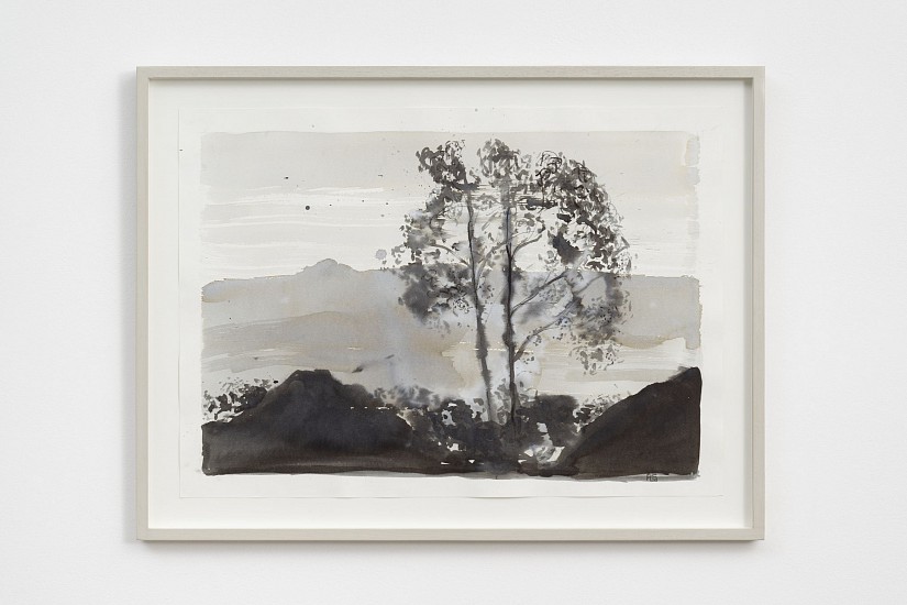 ANNE GRAAFF, Cedarberg Landscape, Western Cape I
ink and wash on 300 gram watercolour paper