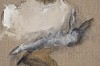 Lorienne Lotz, After Beuys Explaining Peace, oil and charcoal on linen, 50 x 40 cm (c) Matt Slater LR (detail 2)