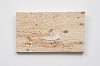 1Brett Seiler, Regarding Bell Hooks, engraving on painted wood, 30.5 x 52 cm (c) Matt Slater HR (1)