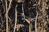 Arabella Caccia, Scorched Earth, Embroidery and applique on hand painted silk, 35 x 35 cm LR (c) Matt Slater (detail 1)