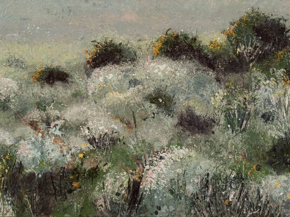 arabella caccia renosterveld oil on board 25 x 60 cm hr c matt slater 1 cropped