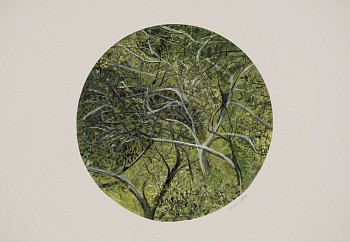 arabella caccia window to the forest i mixed media on paper 54 x 76 cm hr c matt slater 3 cropped