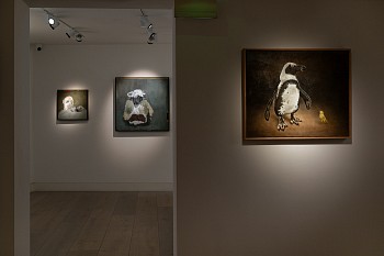 Claude Jammet 2025 install shots LR Damian Griffiths (7)