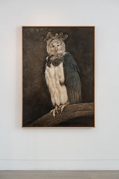 Claude Jammet 2025 install shots LR Damian Griffiths (8)