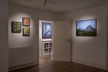 10 Years I Summer 2025 (c) Damian Griffiths LR (65)