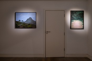 10 Years I Summer 2025 (c) Damian Griffiths LR (72)