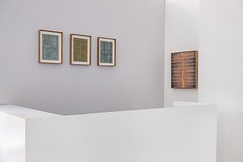 Abraham & Rautenbach 2025 (c) Damian Griffiths LR (12)