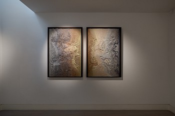 Abraham & Rautenbach 2025 (c) Damian Griffiths LR (19)