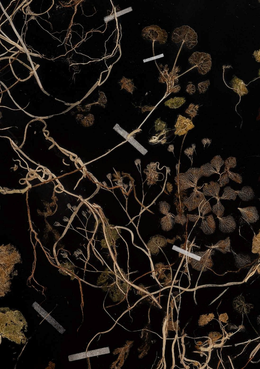sample image ct art fair