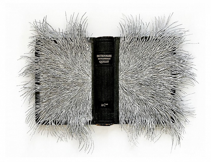 BARBARA WILDENBOER, Dictionnaire Encyclopedique Quillet
Altered book