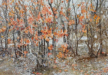 MOPANE, Colophospermum mopane, after fire, near Mopane Camp, Kruger National Park. Oil on Belgian Linen, 70 x 100cm
