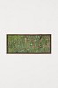 Arabella Caccia, Everlastin Koppie, oil on board, 20 x 50 cm HR (c) Matt Slater (2)