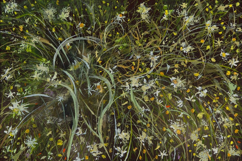 ARABELLA CACCIA, Wild Chamomile
Oil on board