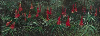 Arabella Caccia, Winter Aloes, oil on board, 14.5 x 40 cm HR (c) Matt Slater (1) FRAMED CROPPED