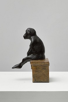 W Cruise, Iteration Little Papio (sitting on box), ed of 100, bronze, 24 x 16 x 17 cm HR (c) Matt Slater (3)