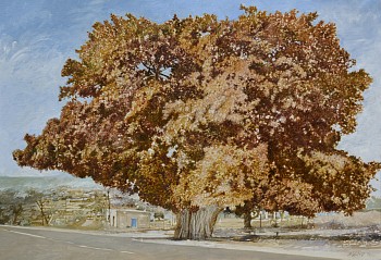 12. THOMAS' TREE, Red leaved Fig, Ficus ingens. Oil on Belgian Linen. Oil on Belgian linen, 90 x 130cm EDITED