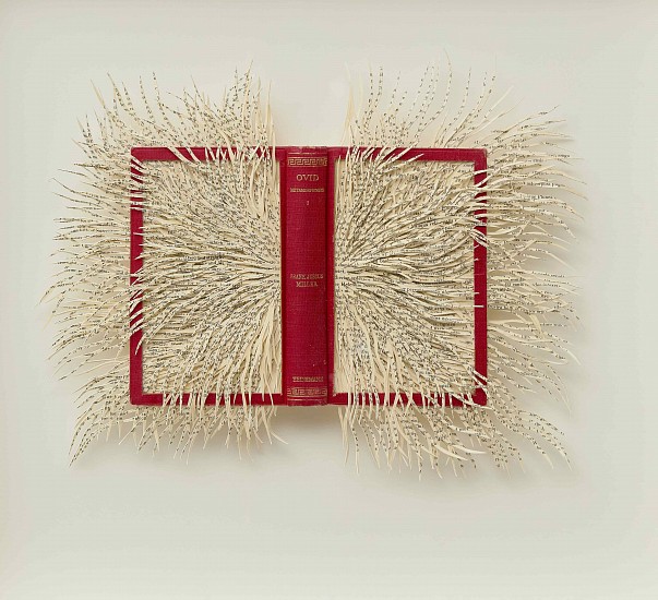 BARBARA WILDENBOER, Ovid's Metamorphosis I
Altered book