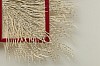 Ovid's Metamorphosis detail 2