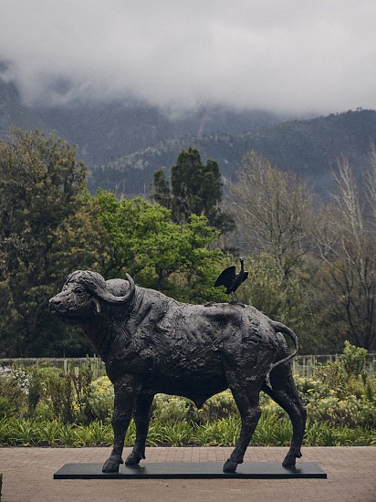 DYLAN LEWIS, S469 Cape Buffalo Monumental
Bronze