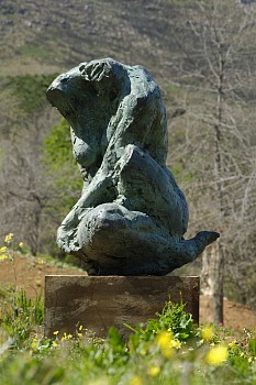 S317 Torso V b (002)