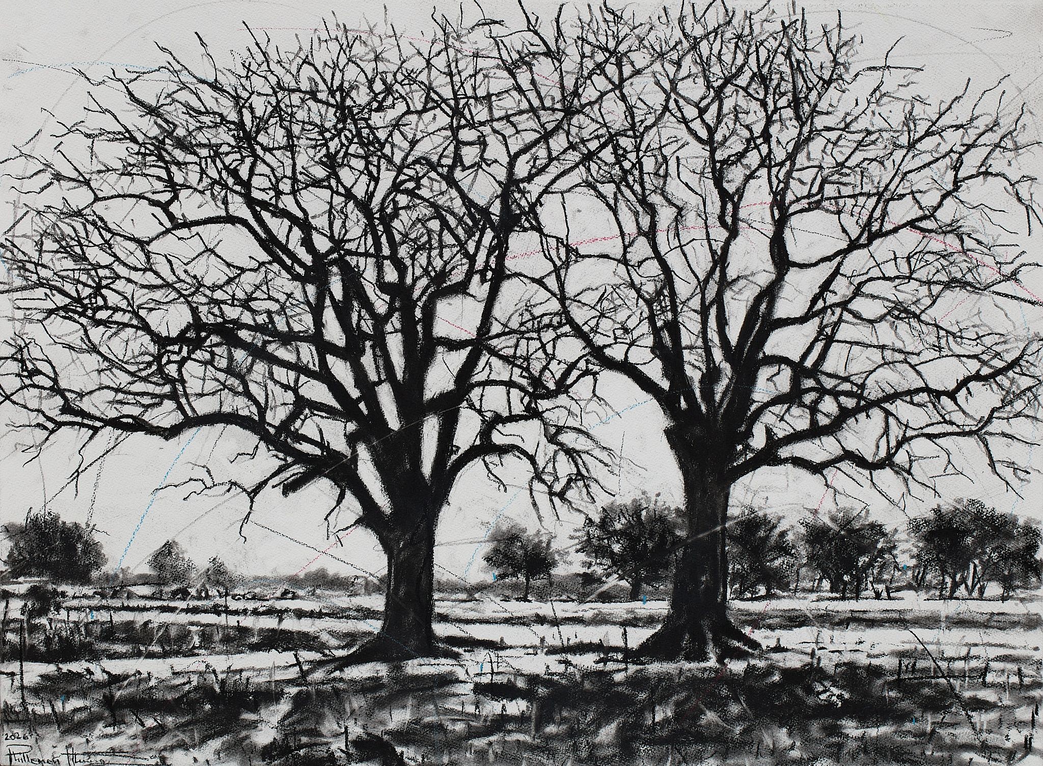 LR Ku rhula a Ku ve ka n'wina (peace be unto you) 3, charcoal on paper, 56 x 76 cm