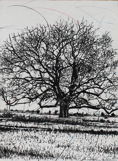 PHILLEMON HLUNGWANI, Ku rhula a Ku ve ka n’wina II (Peace be unto you II)
charcoal on paper
