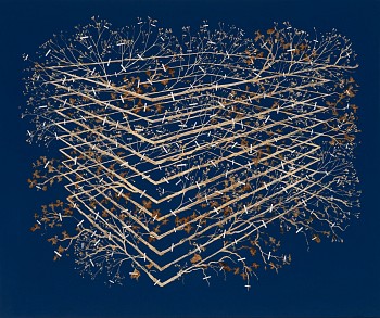 Gerhard Marx, Hedge, 125 x 150 cm (2)